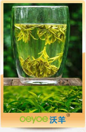 沃羊绿茶
